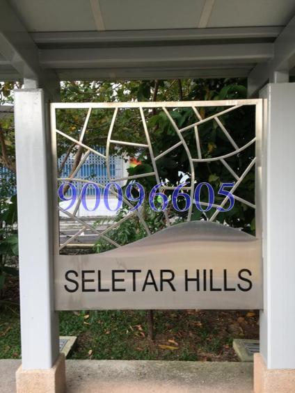 Kelulut Hill (D28), Terrace #143238782